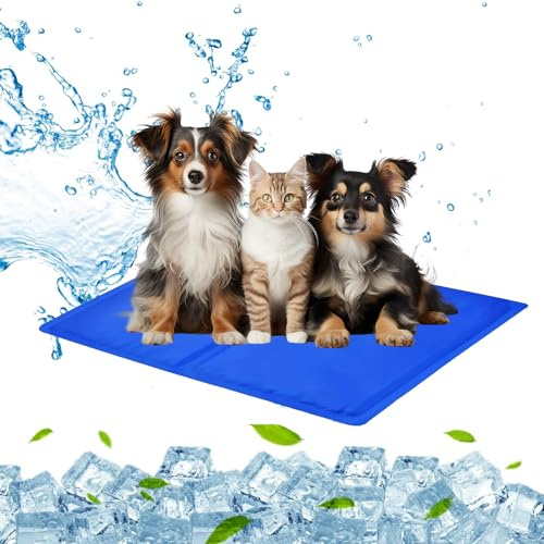 AYSOW Tapis Rafraichissant Chien Chat, 65x50cm Tapis de Refroidissement pour Pet,Auto-Refroidissant Tapis pour Animaux de Compagnie,Non-Toxic Gel Imperméable Tapis Rafraichissant pour Chien