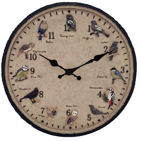 Taodyans Reloj de pared exterior impermeable de 30 cm para exteriores, reloj de pared de jardín, diseño de pájaros, para piscina, hogar, cocina, sala de estar, decoración - No silencioso (12 pájaros)