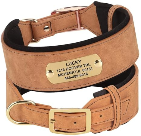 PET ARTIST personalisierte Hundehalsbänder, PU Leder Hundehalsband mit graviertem Namensschild, besonders angefertigt für mittlere große Hunde