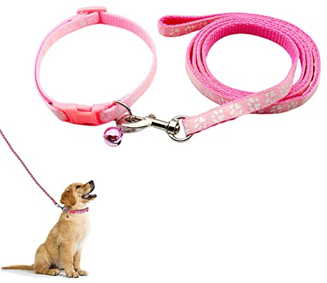 Hundehalsband und Leine Set für Kleine Hunde, Bequem Verstellbar, Welpenhalsband, Rosa