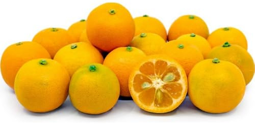 AMDGarden Pianta di Calamondino Mandarino Nano Agrume Sempreverde in Vaso 18 cm