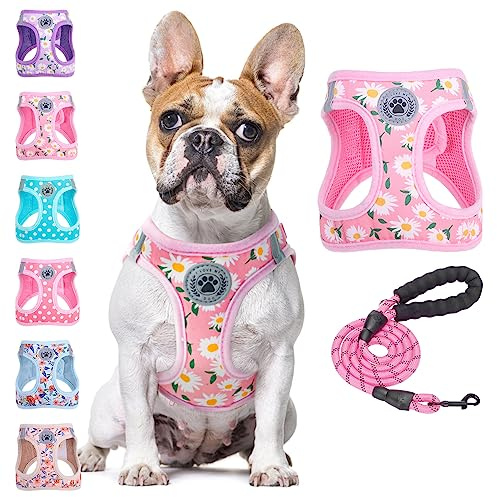BEAUTYZOO Hundegeschirr zum Reinschlüpfen mit Leine, reflektierend, kein Ziehen, kein Würgen, für Welpen, kleine, mittlere, große Hunde, Katzen, weich gepolstertes Netzgewebe, Unisex, Blumenmuster