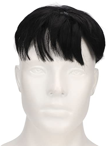 Perruque noire courte pour homme, coiffe de cheveux courts pour homme, toupet duveteux pour homme, toupet synthétique pour costume d'Halloween