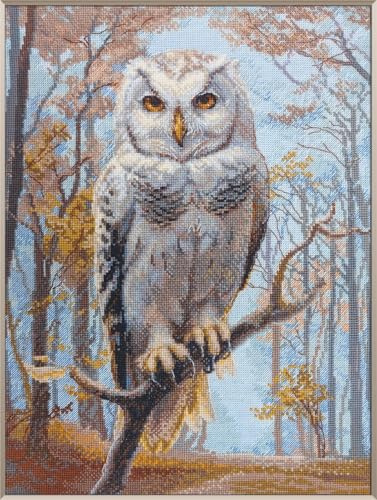 Aine - Gufo selvatico A1016, Punto croce 30x40, Punto croce kit da ricamare, Disegni da ricamare, Embroidery kit, Kit ricamo punto croce