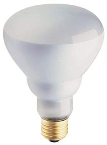 Philips Phillips Soft White 65-Watt BR30 Indoor Flood Light Bulb, (12 Pack)