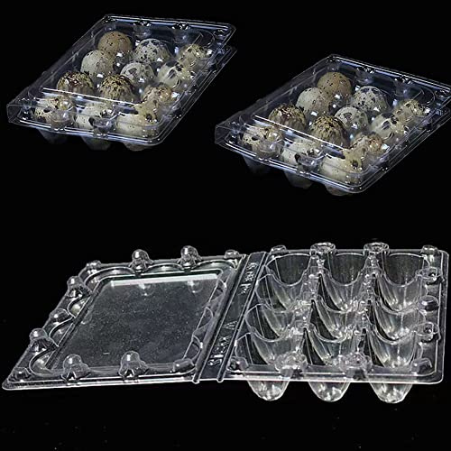 50 Stück Wachtelei Schachteln Wachteln Eierschachteln 12 Gitter Kunststoff Eierschalen mit Deckel Transparente Wachteleierschachteln PVC Eier Aufbewahrungsbox für Wachteleier