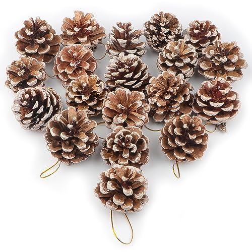24 Stück Weihnachten Tannenzapfen Dekoration Natürliche Mini Hängen Schnee Kiefernzapfen Tannenzapfen Ornamente Set Mit Schnur zum Basteln für Weihnachtsbaum Herbst Winter Weihnachtsfeier DIY Basteln