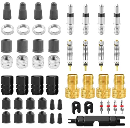55-teiliges Ventilkern Set Fahrradventil Adapter mit Ventilkappen | Französisches auf Schrader Ventil, Ventileinsatz Ersatzteile, Zubehör Rennrad Mountainbike, Material robust, schnelle Montage