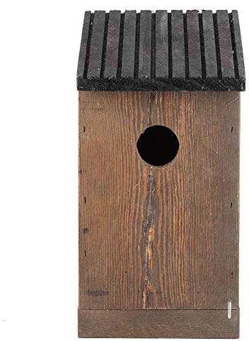 Kit de nichoir de luxe en bois de cèdre à suspendre pour merle bleu, trogne, pinson, nichoir à oiseaux et mangeoire pour jardin, fenêtre, décoration d'arbre avec protection écureuil