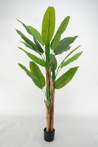 Pianta Artificiale di Banano con Corteccia Naturale, Foglie in PVC, Varie Misure, per Interni Residenziali e Commerciali (Chiquita 180 cm - 3 tronchi)