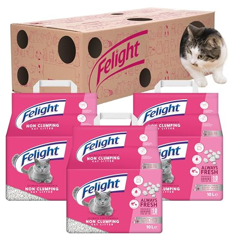 Felight Non-Clumping Cat Litter (30L Bundle) + Cardboard Playbox - Antibacterial Silverfresh Technology, Prevents Odours for up to 10 Days, Made in the UK