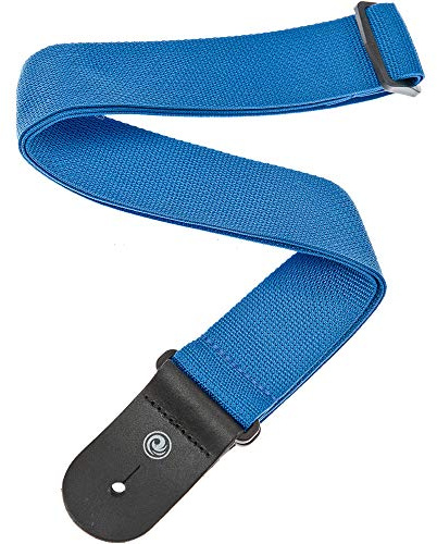 Planet Waves D'Addario
