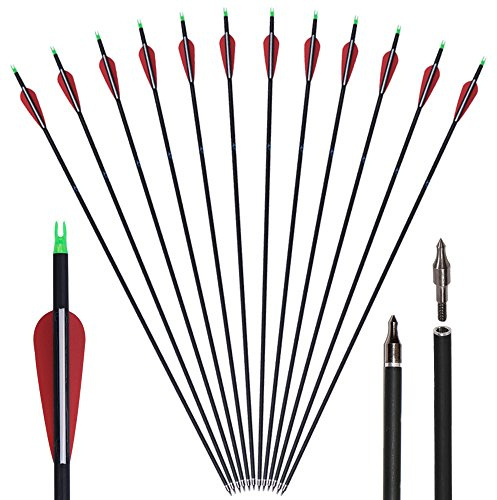 Huntingdoor 12 pièces Flèche en Carbone 30 Pouces Flèches de Chasse à la 500 Spine avec Embouts Amovibles pour la Chasse de tir à l'arc Adultes Arc Classique Arc Long Cible d'entrainemen (Rouge)