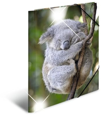 HERMA Sammelmappen A3 Koala Set, 3 Stück, Kinder Eckspanner-Mappen aus Kunststoff mit Tier Motiv, Hochglanz-Optik, Gummizug, Innenklappen und Innendruck für Jungen und Mädchen