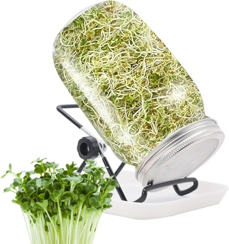 LTHERMELK 1000 Ml KeimgläSer-Set, Keimglas FüR Sprossen, Ausgestattet Mit Filterabdeckung Aus Edelstahl, Einer Verstellbaren Halterung, Sprossenglas Zum Keimen Von Sprossen Und Brunnenkresse