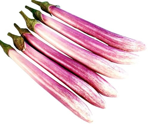 Chinese, Eggplant Seed - The Bride - 300 Heirloom Seeds - Non GMO - Neonicotinoid-Free