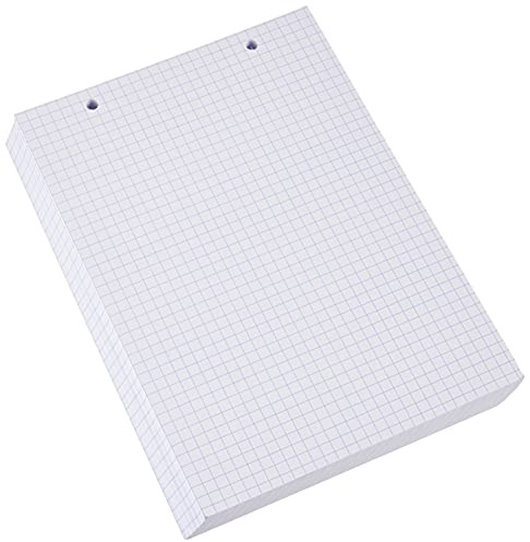 Exacompta 10608E 100er Pack Karteikarten kariert DIN A5 kompatibel mit Druckern 14,8 x 21 cm ideal für die Schule und Universität zum Lernen weiß