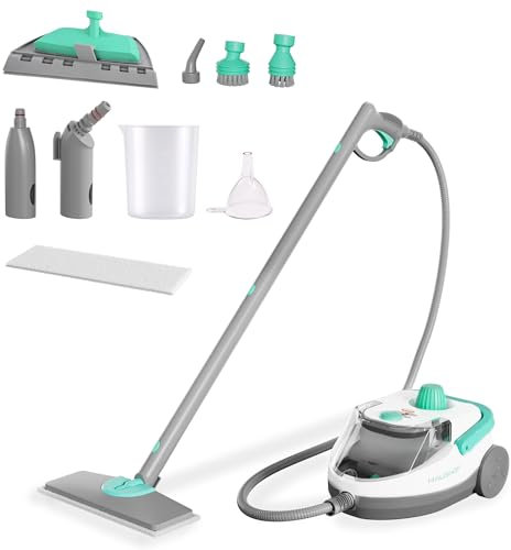 HAUSHOF Pulitore a Vapore 1800W, Serbatoio 1,5L, 4,0bar, Riscaldamento 8 Min, Vapore 30 Min, 17 Accessori, Cavo 3m, Vaporetto per Pavimenti, Tappeti, Finestre, Cucina, Bianco-Verde