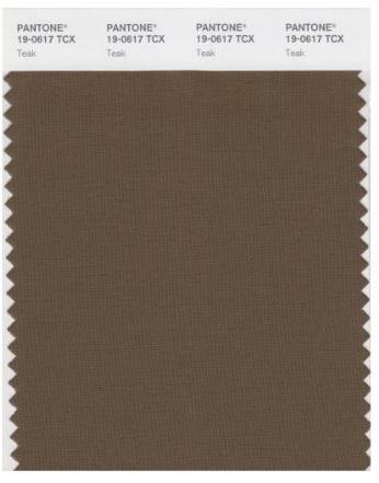 PANTONE Smart 19-0617X Color Swatch Card, Teak