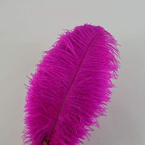 10Pcs Straußenfedern 12-14Inch (30-35cm) Für Haus Hochzeitsdekoration bietet (Fuchsie)