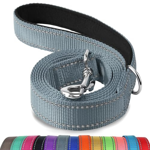 Joytale Hundeleine Kleine Hunde Leicht, Doppelseitig Reflektierende Leine Hund aus Nylon mit Gepolstertem Griff, 1,5m x 2cm, Grau