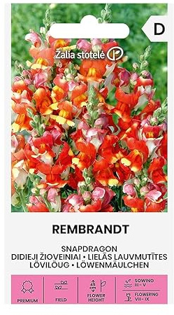 Zalia stotele | Löwenmäulchen - REMBRANDT samen | Blumensamen | Pflanze samen | Einjährige Pflanze, 45 cm hoch, zeichnet sich vor allem durch ihre interessanten Blüten aus | Gartensamen | 1 Pack