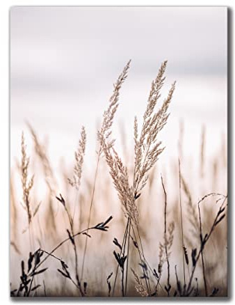 Leinwandbild Grasses I 30 x 40 cm | Bild auf Leinwand im Hochformat in sanften monochromen Farben | Gras Feld Wiese Natur Blumen Trockenblumen | Wohnzimmer Schlafzimmer Flur | Deko Home Einrichtung