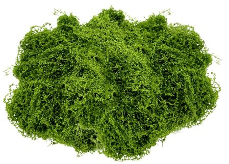 GIDWRIY Musgo Artificial Decoracion 100G,Musgo Preservado Verde Claro,Musgo para Manualidades,Simulación de Musgo Plantas,Musgo Artificial para Macetas,Musgo Conservado,Musgo Artesanal para Decorar