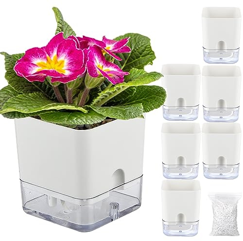 Planterhoma Lot de 6 Pots de Fleurs carrés à arrosage Automatique pour Plantes d'intérieur de 10,9 cm avec Trou de Drainage, Pots Blancs africains pour Lierre du Diable, Plantes araignées, orchidées,