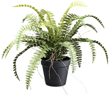 CREATIV green künstlicher Waldfarn 50cm I künstliche Pflanzen wie echt mit naturgetreuen Blättern & Erde I Kunstpflanze im Topf in 12x11cm I Farn künstlich wie echt I schicke Zimmerpflanzen künstlich