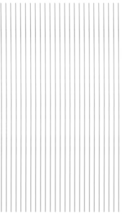 QUARKZMAN 25 piezas de Brochetas de Metal 39cm x 1.6mm Palitos Redondos de Acero Inoxidable Reutilizables para Barbacoa al Aire Libre Parrilla para Asar Carne Camarones Frutas Verduras