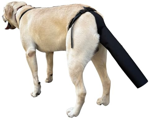 PEUTIER Hundeschwanz Schutz, Hundeschwanzabdeckung für Wunden Schwarzes Hundegeschirr mit Schwanzschutz Hundeschwanzschutzhülle (Größe L)