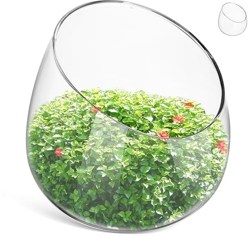 Vaso in Vetro a Bocca Inclinata Rotondo per Piante Grasse | Piante e Muschio, Vista Trasparente delle Radici, Stile Semplice ed Elegante, per Scrivania e Soggiorno