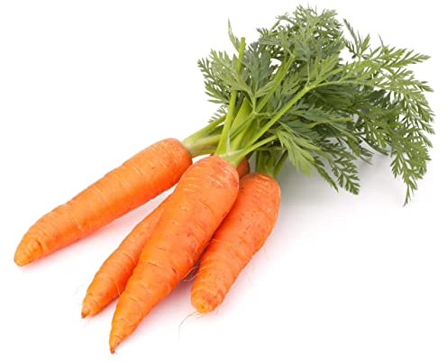 Semillas de Zanahoria para Cultivar Plantas Comestibles muy Beneficiosas