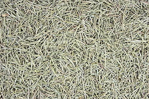 1000Kräuter Fichtennadeln Fichtennadeltee geschnitten (500g)