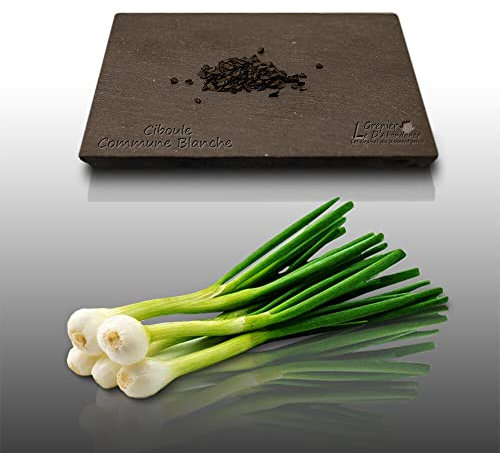 100 graines d'Aromatiques à semer - CIBOULE Blanche - Allium fistulosum