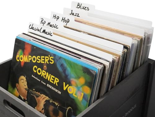 10 divisores de discos de vinilo 12.9 pulgadas, pestaña de categoría blanca, separadores de plástico doble cara, guías LP