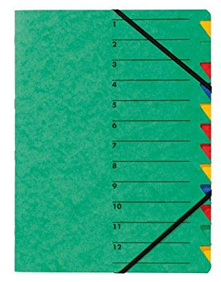 Ordnungsmappe grün 12teilig PAGNA 24131-03 Gummizug