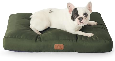 BEDSURE Hundekissen kleine Hunde waschbar - 76x50cm hundematratze wasserdicht M für kleine, mittelgroße Hunde Outdoor gepolstert Hundematte grün in 10cm Höhe
