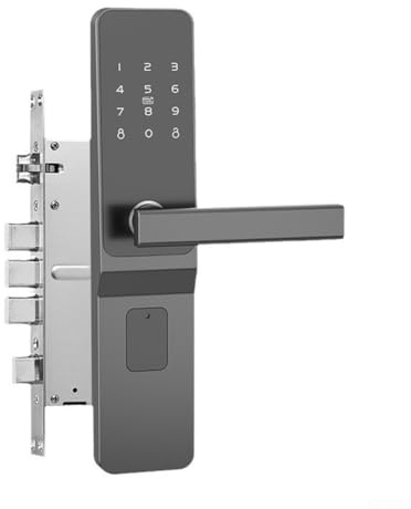 Verrou de porte à empreintes digitales avec poignées, cylindre noir de sécurité pour serrure de porte électronique TTlock avec mot de passe (modèle antivol)