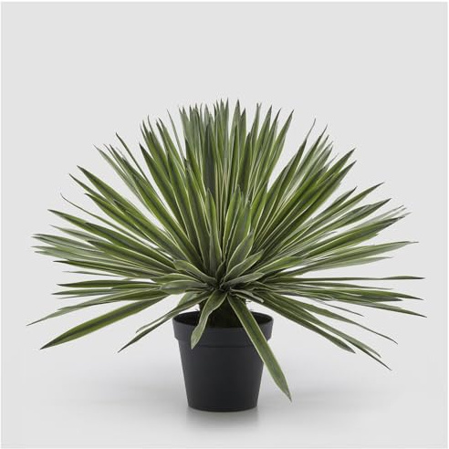 EDG Enzo De Gasperi Pianta Artificiale Agave Finta con Vaso da Interno H65 cm