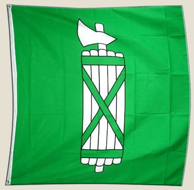 Flagge Schweiz Kanton St. Gallen - 90 x 90 cm