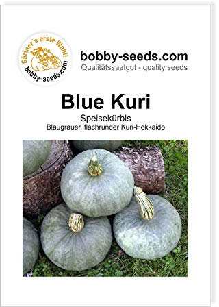 Blue Kuri Kürbissamen von Bobby-Seeds, Portion