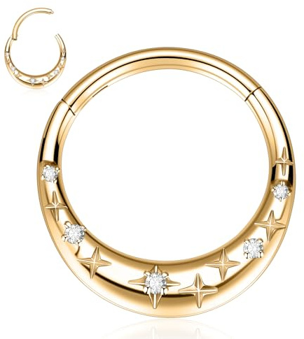 hengkaixuan 16G Septum Piercing Septum Clicker Ring Septum Hoop Schmuck für Frauen 316L Edelstahl Nase Hoop Ring Daith Knorpel Hoop Ohrring Segment Clicker Ring Tragus Helix Conch Piercing 8mm 10mm