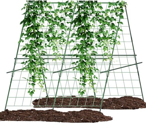 Kit de tuteur de concombre, treillis de jardin, cages et supports pour plantes grimpantes, 120 cm, support pour plantes grimpantes, tuteur de jardin, concombre, tomates