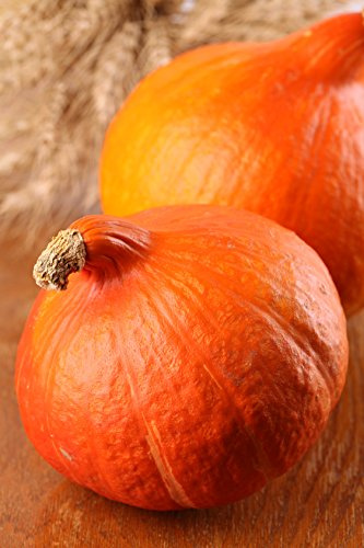 Seedeo Kürbis Red Kuri (Cucurbita maxima) 10 Samen BIO