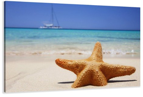 Visario Leinwandbild 120x80 cm 5115 Seestern Strand Meer Segelboot - Wandbild Türkis Orange Sand Sommer Urlaub Karibik - Fertig Aufgespannt auf Holzrahmen - Moderne Wanddekoration für Wohnzimmer Büro