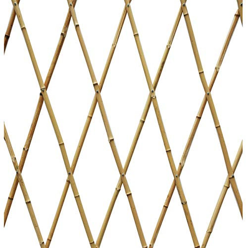Suinga - Treillage Extensible en Bambou 60 x 240 cm pour Jardin