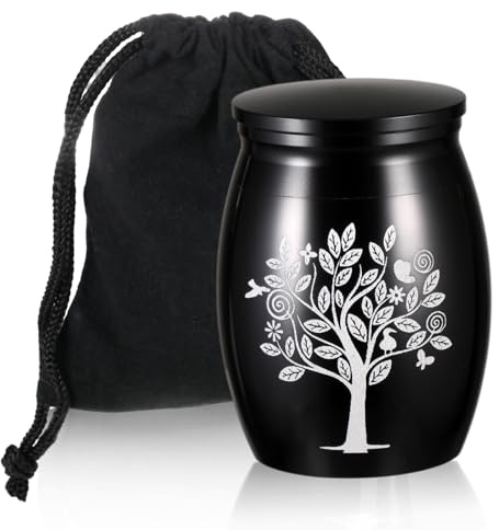 Pequeña urna de cremación, mini urna de acero inoxidable para cenizas, urna de recuerdo humano, perro, pequeñas urnas funerarias para mascotas o cenizas humanas