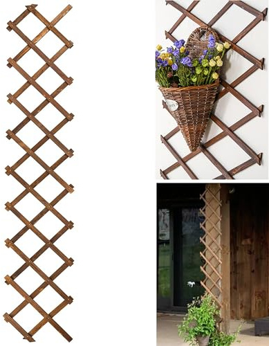CJGQ Holzgitter-Wand-Erweiterbares Pflanzengarten-Rankgitter für Kletterpflanzen, Outdoor, Luftpflanze, vertikales Gestell, Wanddekoration für Zimmer, Terrasse